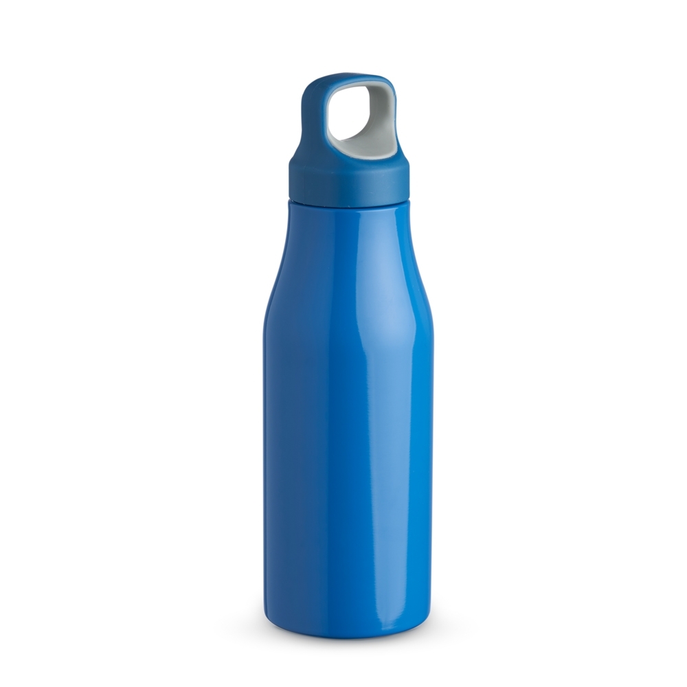 Garrafa Inox 650 ml