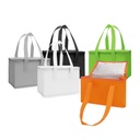 Bolsa Térmica 10lts