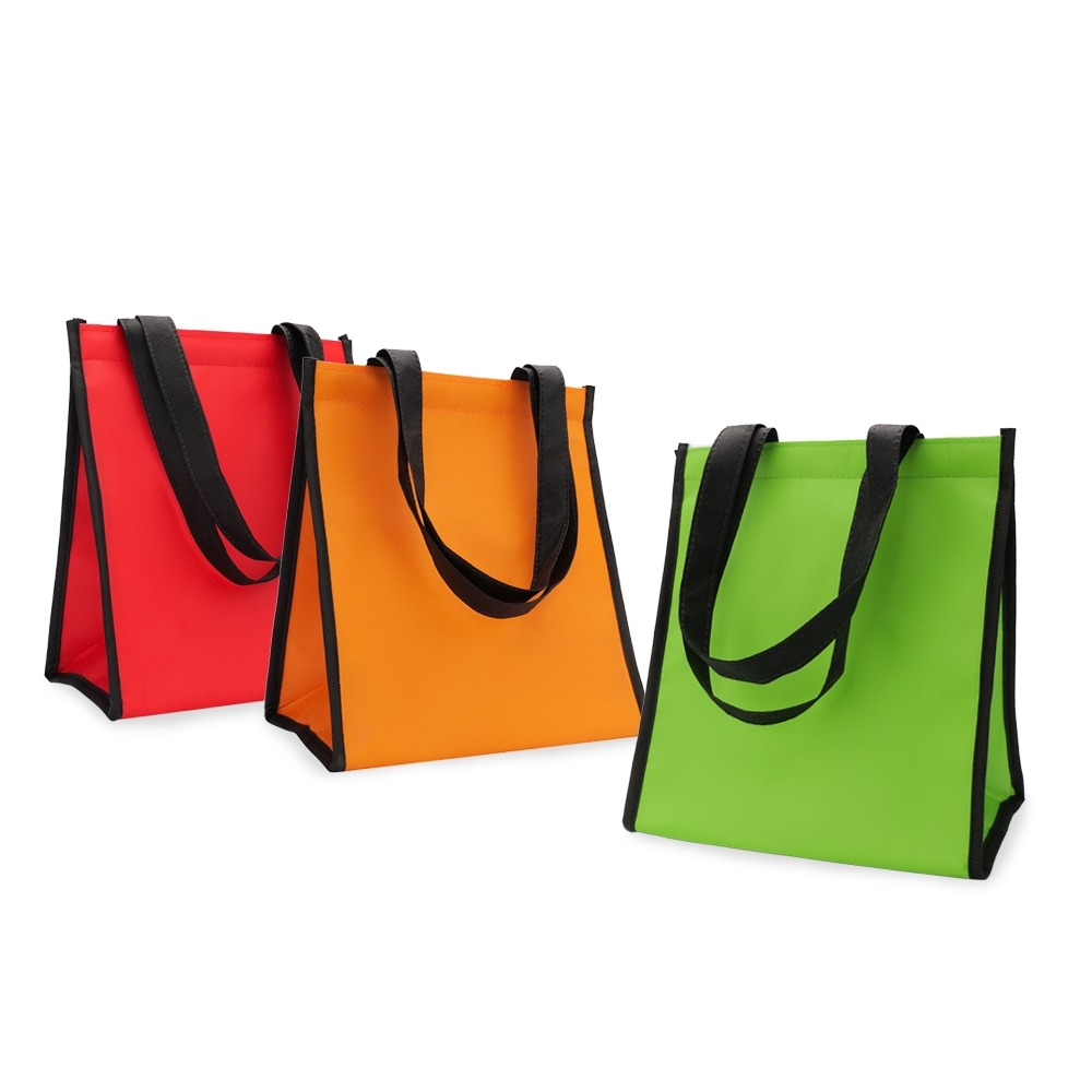 Bolsa Térmica 12lts